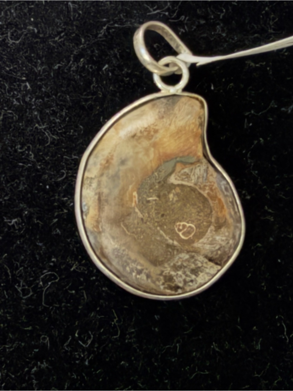 Sterling Silver Ammonite Pendant